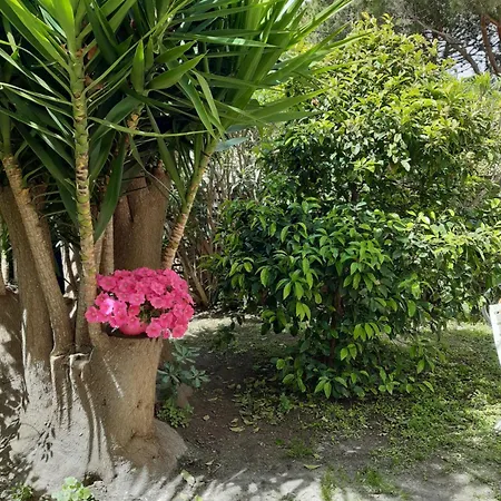 Appartement Le Mordhuy